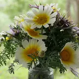 Flores de enero: Ramo de margaritas y flores silvestres en un bote de cristal, un regalo para cualquier día