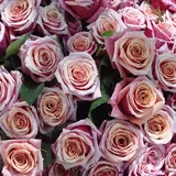 Flores para aniversarios: Ramo de rosas rosas, un regalo clásico para San Valentín y el Día de las Madres